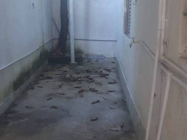 #52116 - Casa para Venda em São Vicente - SP - 3