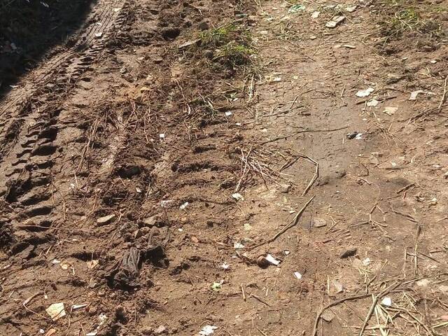 #52324 - Área para Venda em São Vicente - SP - 1